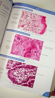 Memorix Histologie - autor Jan Balko a kolektiv - 5