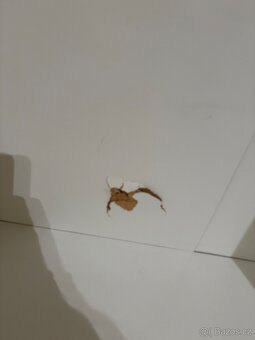 Šatní skříň 170 - 5