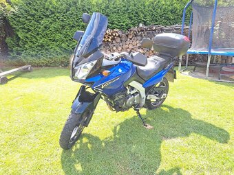 Suzuki dl 650 V-strom - 5