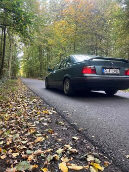 BMW 318tds - 5