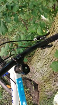 Juniorske kolo Galaxy Orbit 26" - 5
