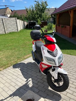 Kentoya fever 125 - 5