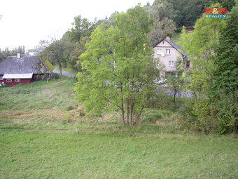 Prodej louky, 2494 m², Janův Důl - 5