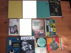 Historie, umění, aj. - literatura faktu, příručky - 5
