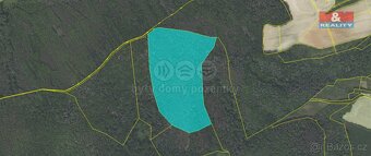 Prodej lesa, 62499 m², Trubín - 5