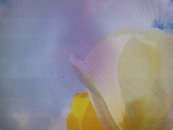 Panasonic 100cm tv - 5