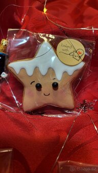 VÁNOČNÍ PERNÍČKY - RŮZNÉ MOTIVY - 5