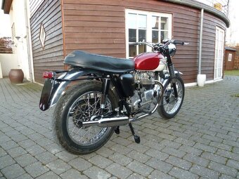 Triumph Tiger 100 Daytona 500 OHV - 5
