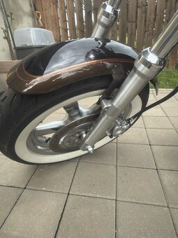 HD sportster 1200 Custom 110th Anniversary edition - 5