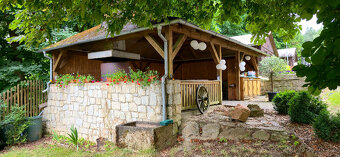 ZÁMEK VIDŽÍN PRONÁJEM - 5