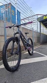 Yt capra 2019 - 5