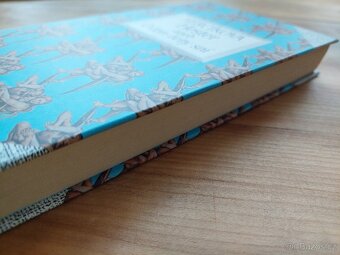 Iva Hercíková - Hester aneb o čem ženy sní - romantika SLEVA - 5