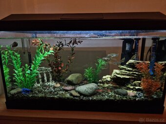 Akvárium s vybavením - 5