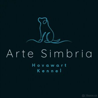 Hovawart s PP FCI štěňata rezervace - 5