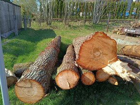 Suché palivové dřevo, dřevo na uzení, dubové kůly - 5