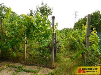 Suchohrdly, chata 1+kk, 30 m2, zahrada, udírna – chata - 5