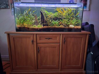 Akvarium 240l - 5