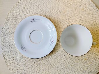 Seltmann Johann, Vohenstrauss - Kávový šálek. - 5