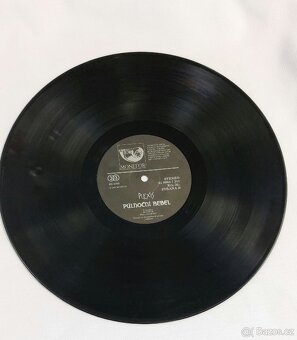 LP - PLEXIS Půlnoční rebel - 5