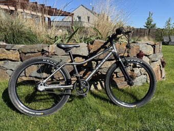 RASCAL 20 (titanium) - 5