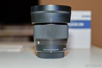Sigma 56mm f1.4 MFT - 5