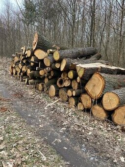 Palivové dřevo - 5