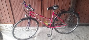 Kolo Olpran Brenda - 5