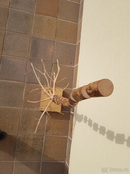 Dřevěná socha - páteř stromu - 5