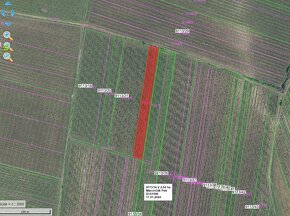 Prodej vinice - 4 550 m2 - Novosedly na Moravě - 5