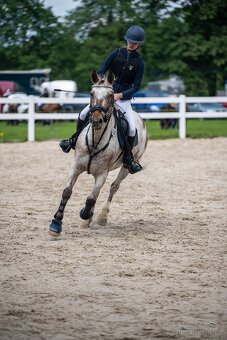 Sportovní pony B - 5