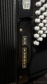 Delicia Carmen XIV (14) - 5