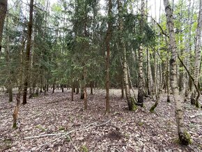 Lesní pozemek  4294m2 k.ú. Vilantice - 5