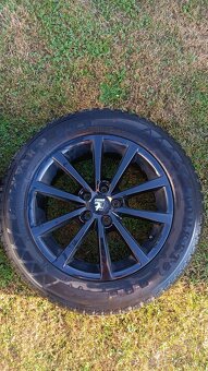 Mg zs - 5
