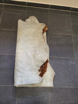 kůže, hovězí kožešina, velikost 174x166 cm - 5
