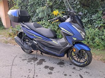 Honda forza 125 rok 2022 - 5