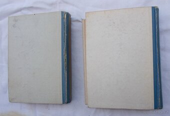 Ch. Dickens - Pustý dům I a II díl, rok 1927. - 5