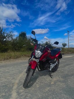 Honda CBF 125 - 5