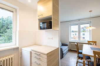 Pronájem bytu 4+kk, Jeremenkova, Podolí, 39500 Kč/měs, 94 m2 - 5