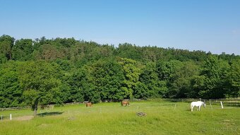 Stájník/stájnice - 5