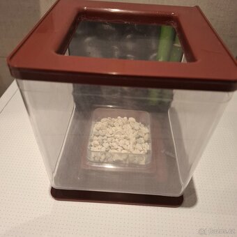 Akvarium / aquarium 2l betta bojovnice - 5