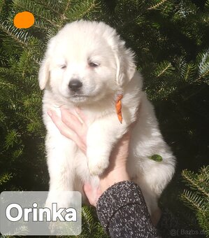 Chovateľská stanica na Starom mlynisku - 5