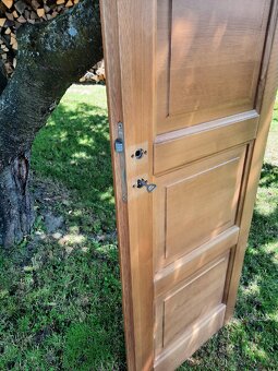 Dveře interiérove - 5