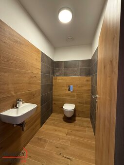 Prodej, byty/4+kk, 110 m2, U Bašty 2927/8, České Budějovice - 5