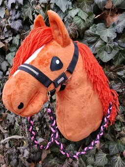 Hobby horse - 5