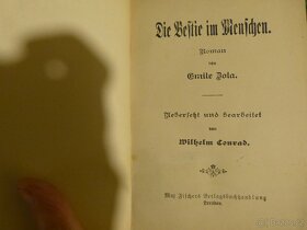 Emil Zola, romány - 5