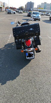 Suzuki c 800 intruder - 5