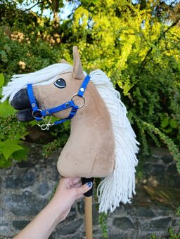 Larden xs hobby horse - 5