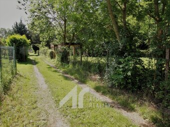 Dyje  – zahrada 476 m2, oplocení, přípojka elektřiny – zahra - 5