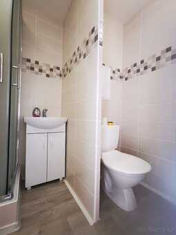 Prodej družstevního bytu 1+kk, 33 m2 - 5