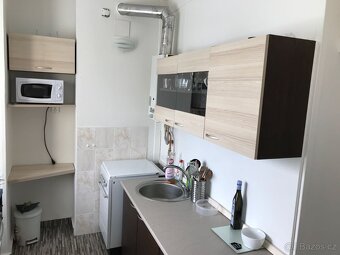 Byt 2+1 v ulici Sluneční, Zadní Vinohrady - 5